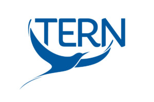 tern-food-festival-london-londres