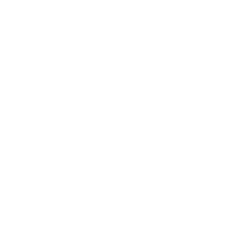 BFM-NICE-BLANC