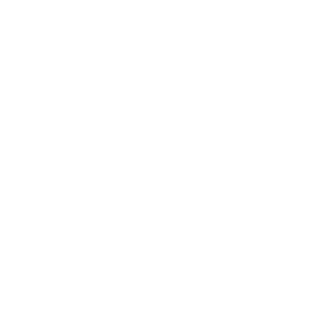 Logo-BFM-LYON 2024-BLANC (3)